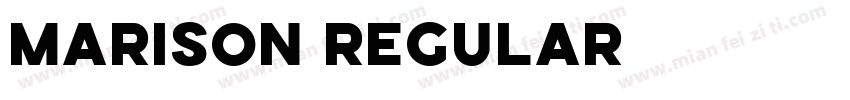 MARISON REGULAR字体转换